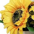 thumbnail image 2 of Flor De Luz LED Girasol Maceta Luz de noche Bonsai Mesa Luz Flor Lámpara de escritorio (C), 2 of 8