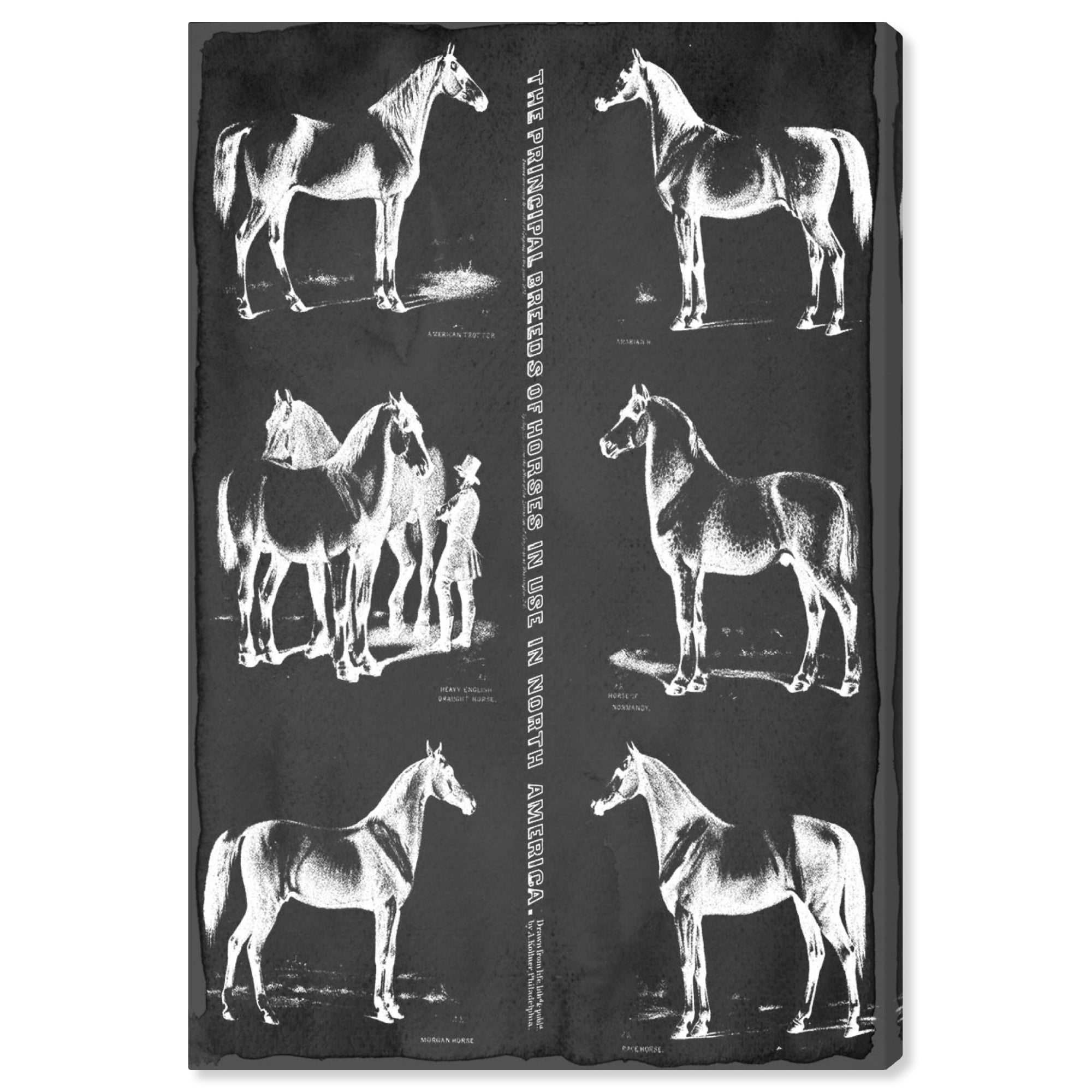 Horse Painting Canvas Horse Wall Art Canvas Home Wall Decor Horse Signs Housewarming Gift The Ride Goes On Motivational Sign Wall Art