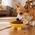 thumbnail image 5 of Cat Bowl Anti-Vomiting Tilted Elevated Cat Food Bowl Whisker Friendly Slanted Feeding Bowls with Shallow & Tall Design Yellow, 5 of 7