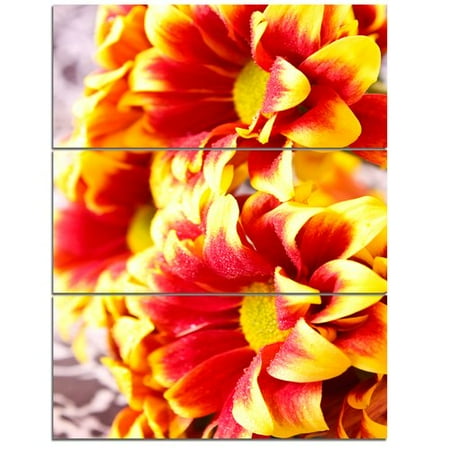 Red Flower Photo - Design Art 'Red Yellow Flower Background Photo' 3 Piece Photographic Print on Wrapped Canvas Set