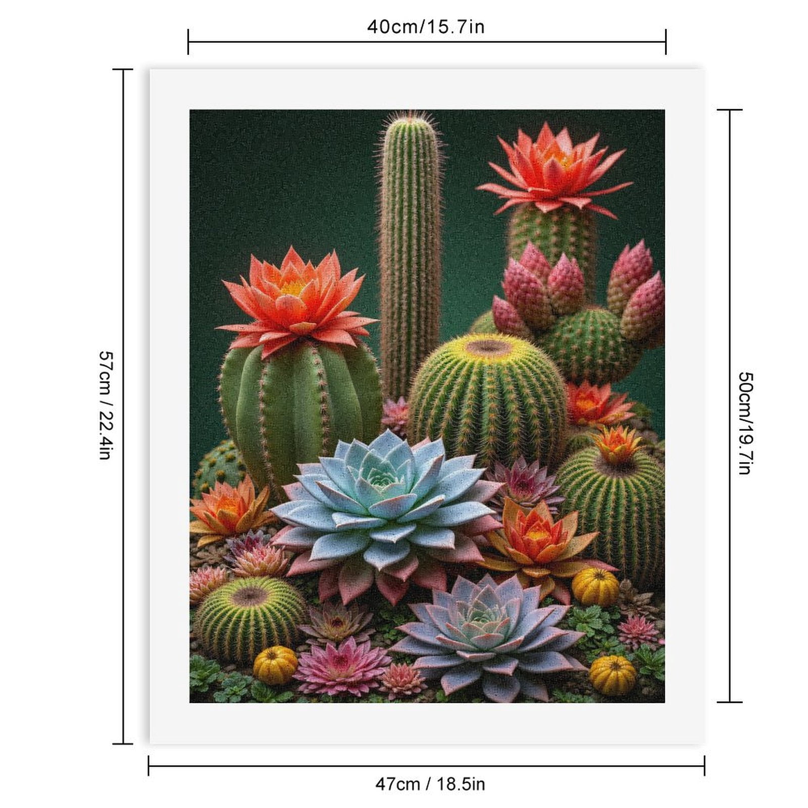 Paint By Numbers Kit for Adults Beginner - DIY Cactus Succulent Floral Colors Canvas Painting Kits for Adults, Frameless Paint By Number for Adults for Home Wall Decor 16x20 Inch