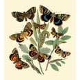 thumbnail image 3 of Vision Studio 20x22 Black Modern Framed Museum Art Print Titled - Butterfly Gathering III, 3 of 5