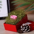 thumbnail image 2 of Efavormart 50g Green Preserved Natural Moss Grass DIY Gift Box Fillers Wedding Decoration Birthday Party Arrangement, 2 of 10
