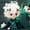 Shadow green, variant on Various antique-style magical boy plush dolls, white-haired cape, flower staff figure, flame elf toy, two-dimensional desktop decoration, birthday gift