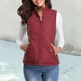 thumbnail image 2 of Tanhomme Women's Fleece Vest,Lightweight Warm Polar Soft Vests Outerwear With Zip Up Pockets,Sleeveless Jacket For Winter Women Vest Sleeveless Jacket Coat Warm Vest Cardigan With Pockets, 2 of 7