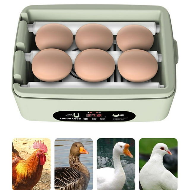 Máquina de incubación de huevos Colco Hatcher Automático 6 Huevos Cuadrado 18x15x10cm