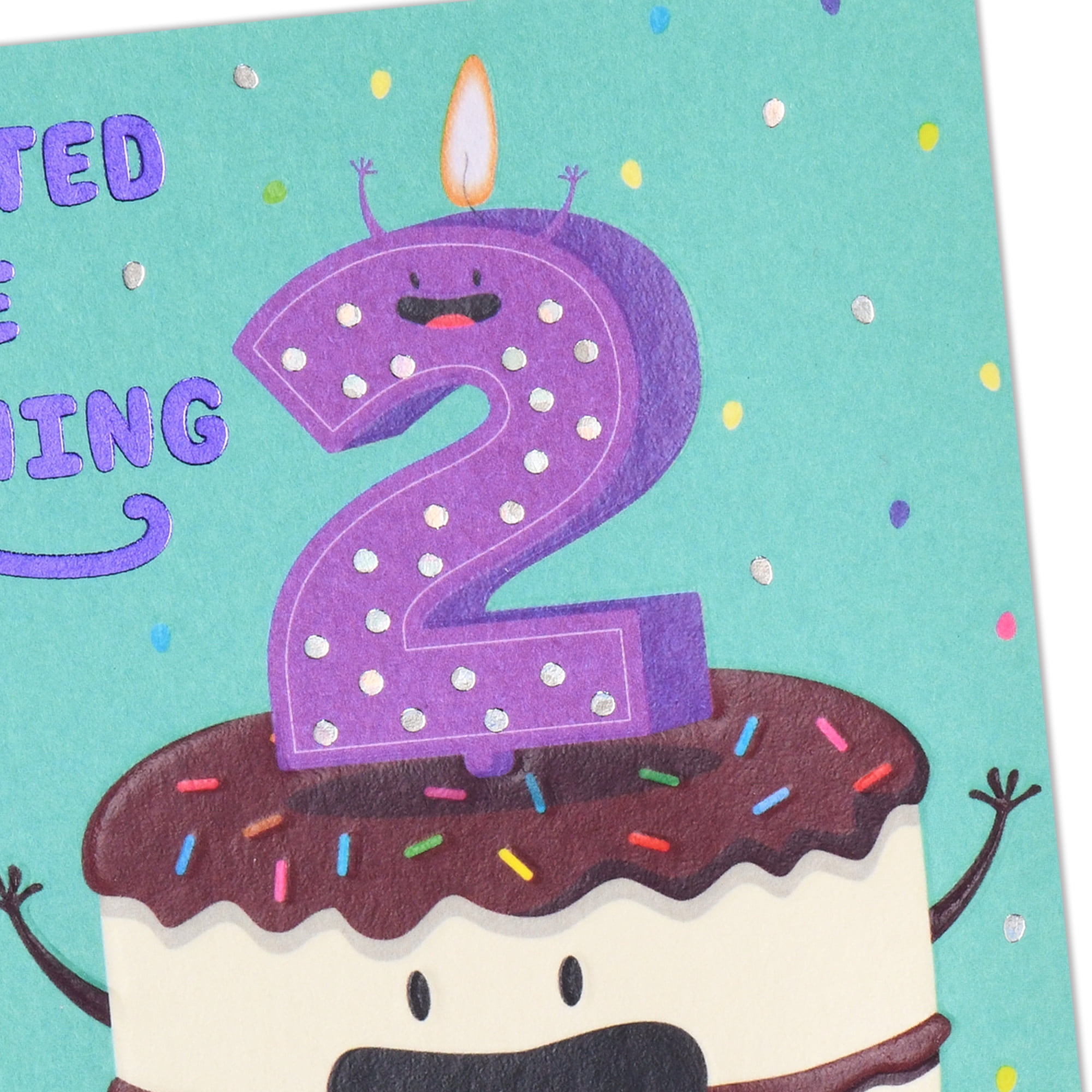 Hallmark 2nd Birthday Card (All the Fun)
