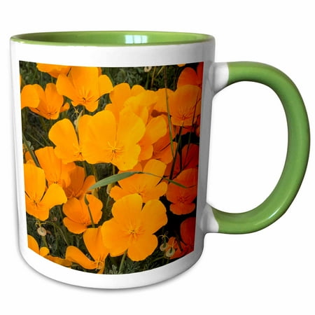 Oro Valley California 3dRose California poppies, Montana de Oro State Park, Los Osos, CA - Two Tone Green Mug, 11-ounce ()