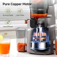 thumbnail image 3 of Sunmaki 250W Cold Masticating Slow Juicer for Whole Fruits & Vegetables, BPA-Free, Quiet, Anti-drip, Gray, 3 of 16