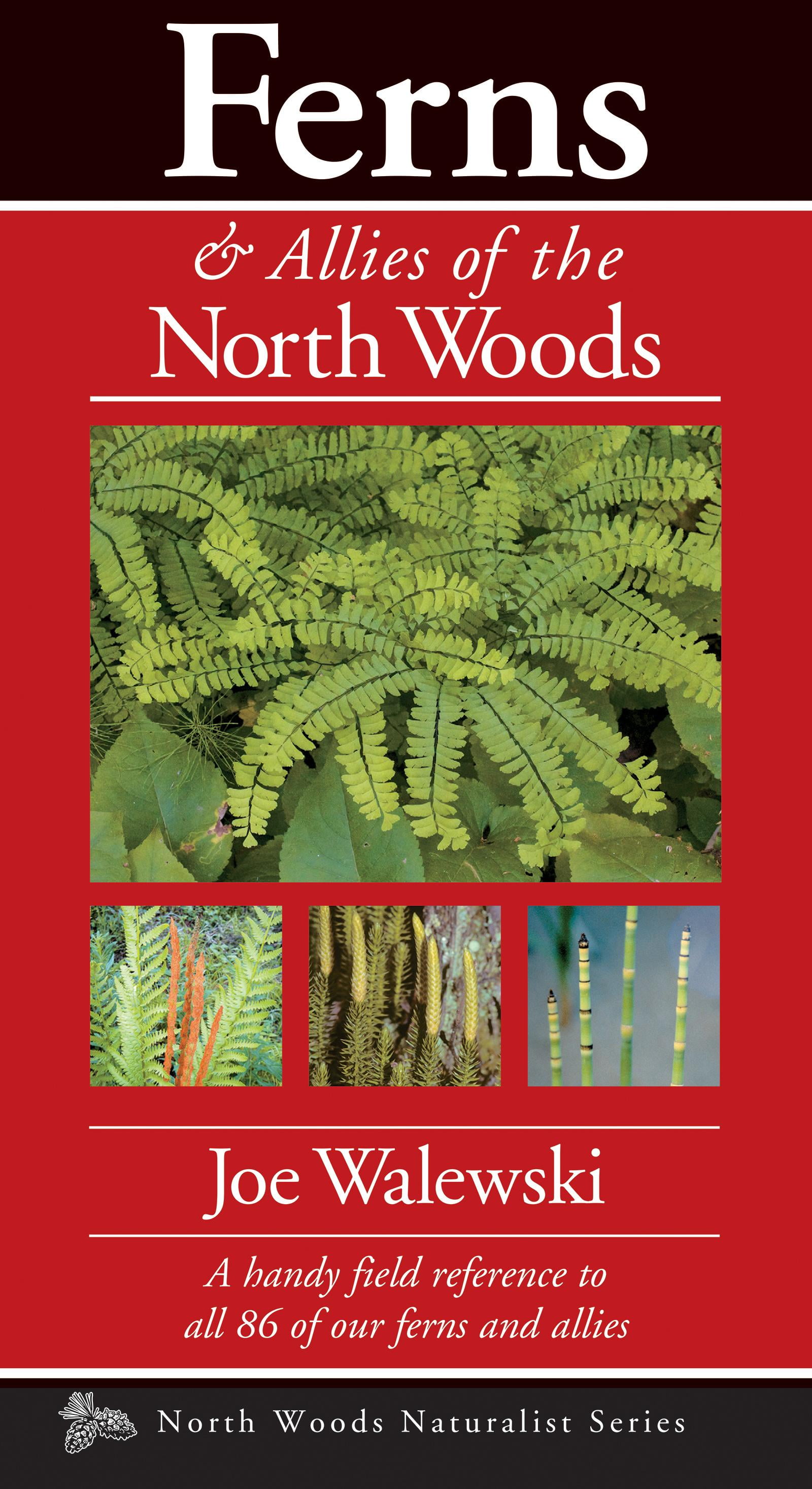 Ferns /& Allies of the North Woods A Handy Field Reference to All 86 of Our Ferns and Allies