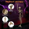 thumbnail image 2 of Yescom 4Pcs 16" Posable Mermaid Skeleton Halloween Decoration Movable Bone Pirate Theme Outdoor Yard, 2 of 9