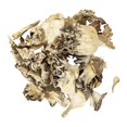 thumbnail image 1 of LZHF Organic Maitake Mushroom Pieces, Dried Organic Hen of the Woods Mushroom, Non-GMO, Gluten Free, Kosher, Vegan - 4 ounces, 1 of 3