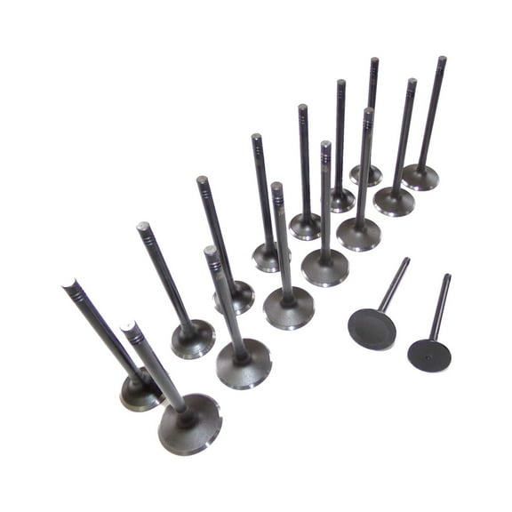 DNJ VK16802 Exhaust Intake Valve Kit Fits Cars & Trucks 2005-2017 Fits Cars & Trucks Audi, Volkswagen L4 2.0L DOHC 16V EV802 X8 IV802 X8