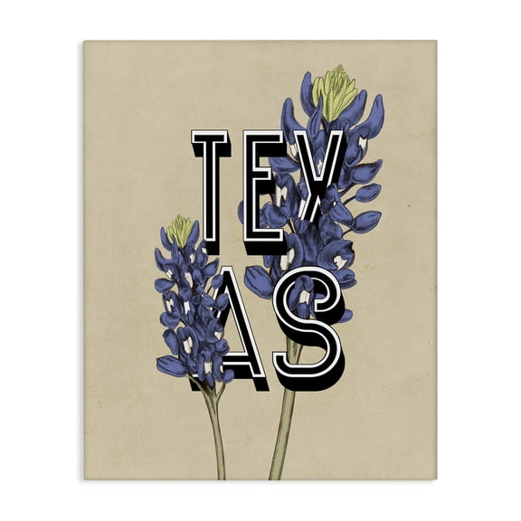 Stupell Industries Mid-Century Texas State Flower Bluebonnet Plant Sprigs Typography Canvas Art, 16 x 20, by Lil' Rue