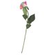 thumbnail image 2 of 8 Uds. Flor de rosa Artificial arcoíris prensa Real flor de seda Artificial, 2 of 5
