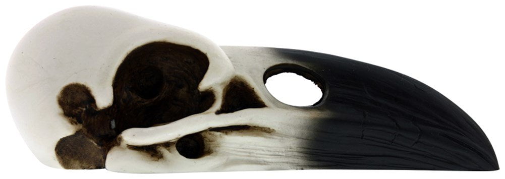 JACK THE ZOMBIE DOG < witch's skull > sk01.png