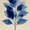 Leaf, variant on Blue Leaf Skeleton Cyanotype Canvas Print, Suitable for Living Room, Bedroom, Office, Hallway, Bathroom