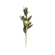 thumbnail image 2 of Bola de Crisantemo Artificial | Decoración Floral Verde Artificial de Plástico de 40 Cm | Tallos Flexibles | Centro de Mesa para Bodas | Corona Navideña para Repisa, 2 of 6