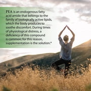 Enzyme Science™ (Pea)+ All-Natural Meriva Curcumin Supplement, 60 Capsules – For Physiological Support – Helps Support Nervous, Immune, Muscular Systems