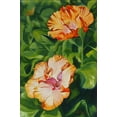 thumbnail image 2 of Stevenson, Graeme 11x14 Gold Ornate Wood Framed with Double Matting Museum Art Print Titled - Hibiscus 2, 2 of 4