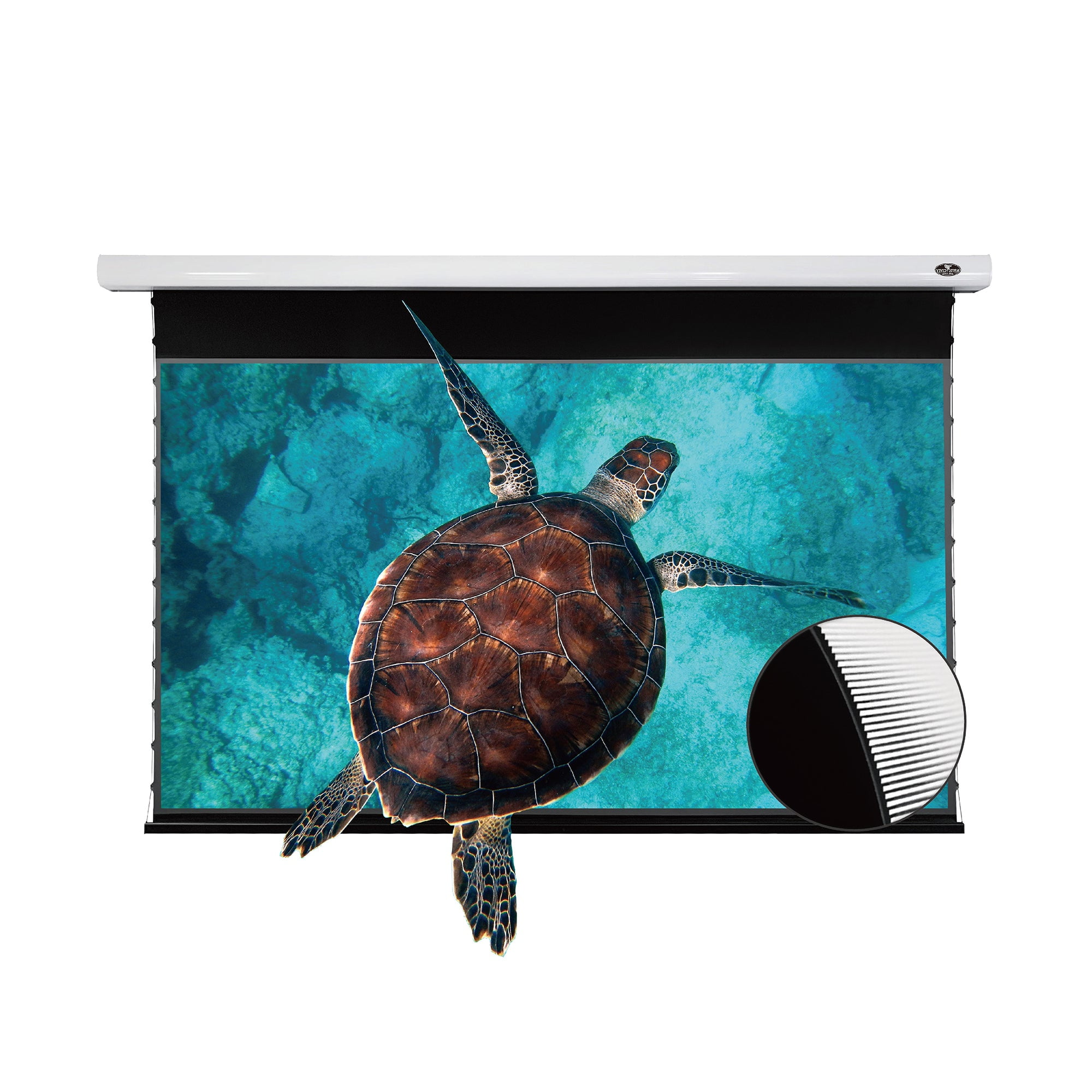 VIVIDSTORMOfiice presentation tension Screen,PRO Slimline Motorized