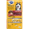 Pedigree High Protein Adult Dry Dog Food Beef and Lamb Flavor, 50 lb