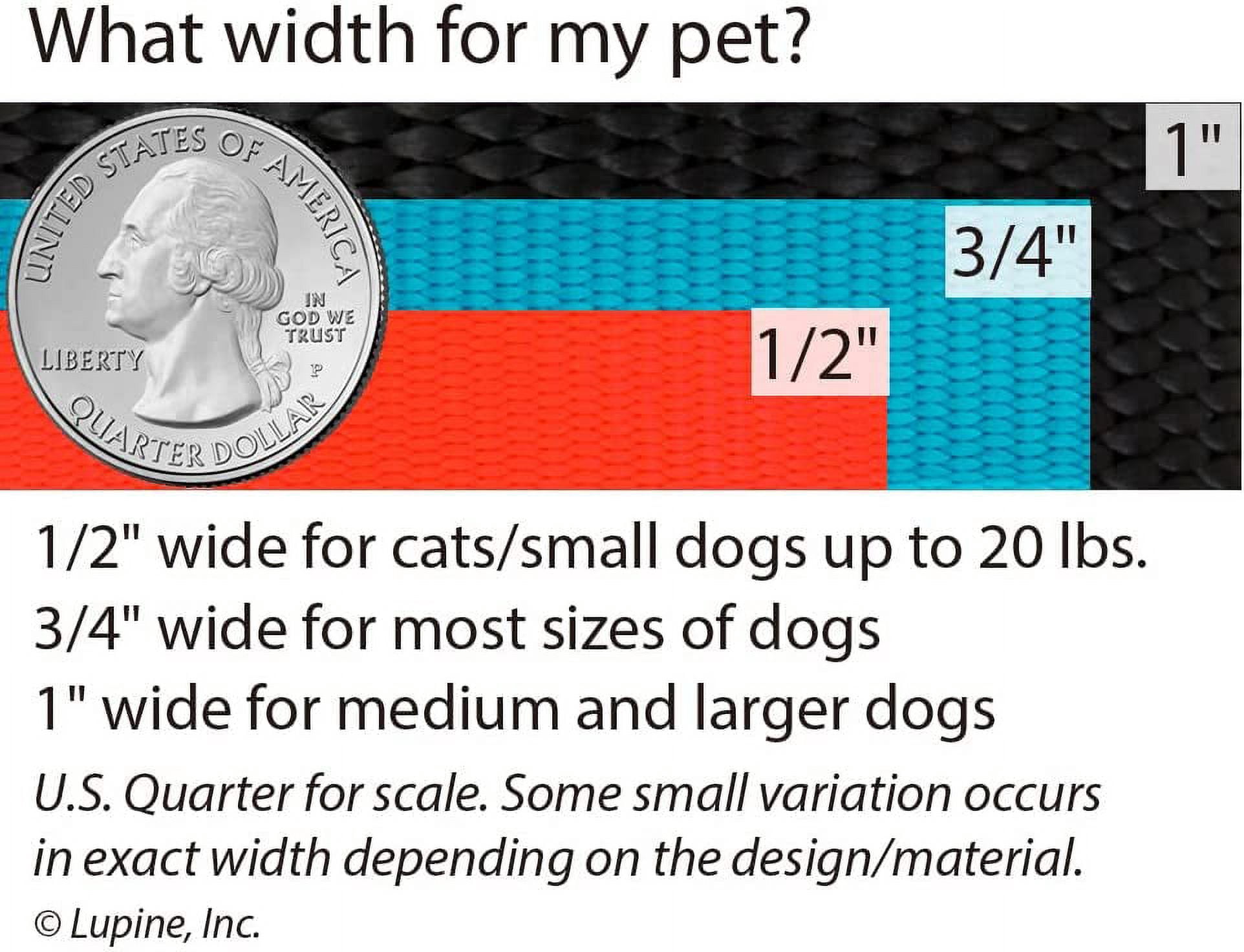 Lupine Dog Leash 6-Foot by 3/4" Wide Petunias