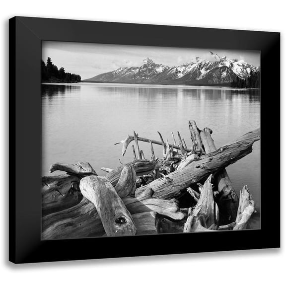 Adams, Ansel 13x12 Black Modern Framed Museum Art Print Titled - Driftwood on shore of Jackson Lake, with Teton Range in background, Grand Teton National Park, Wyomi