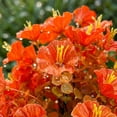 thumbnail image 6 of PBAZIH Artificial Flowers for Outdoors Waterproof Faux Garden Plants for Porch and Patio Durable Plastic Decorative Mums for Halloween and Thanksgiving Decor Easy to Install with Ground Stakes, 6 of 6