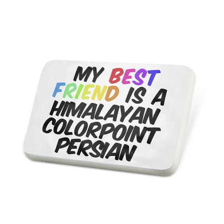 Porcelein Pin My best Friend a Himalayan Colorpoint Persian Cat from United Kingdom Lapel Badge –