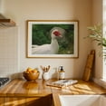 thumbnail image 4 of White duck. - Photography Wildlife Bird Animal Nature Farm Rural Pastoral Unframed Wall Art Print 20 x 28 inches, 4 of 7