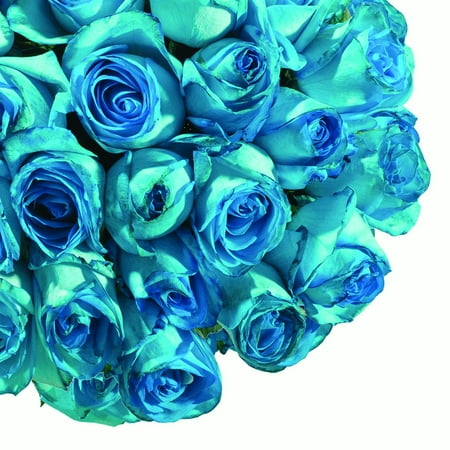 - Natural Fresh Flowers - Tinted Turquoise Roses, 20