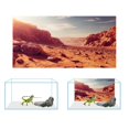 thumbnail image 3 of Fondo de terrario COMSUN Gobi Sunshine Cactus 122 cm x 46 cm, 3 of 7