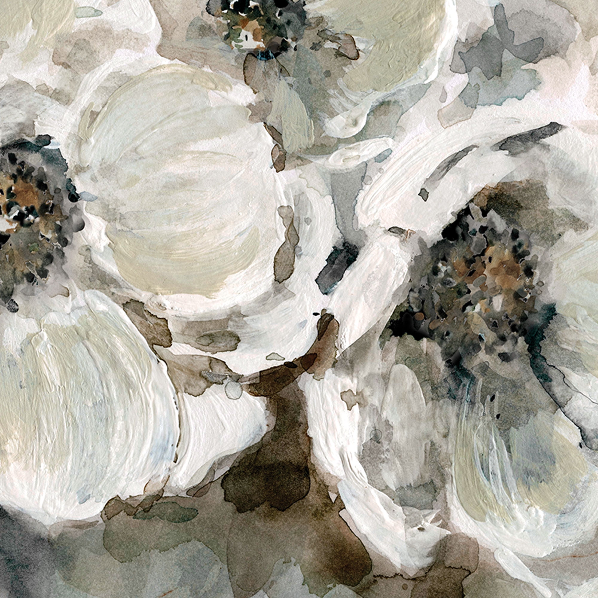 Masterpiece Art Gallery Anemone Quiet Moments by Carol Robinson Canvas Art Print 35" x 35"