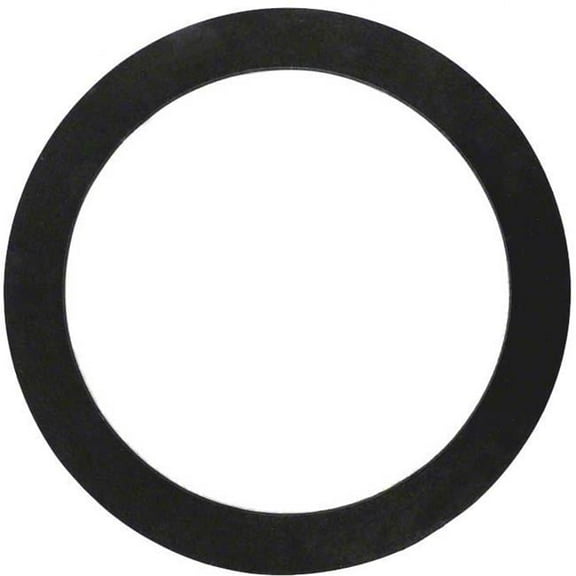 ALA-PT APCG3429 2 in. A Bulkhead Gasket