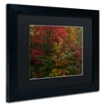 thumbnail image 3 of Trademark Fine Art "Why I Love Autumn" Canvas Art by Kurt Shaffer, Black Matte, Black Frame, 3 of 4