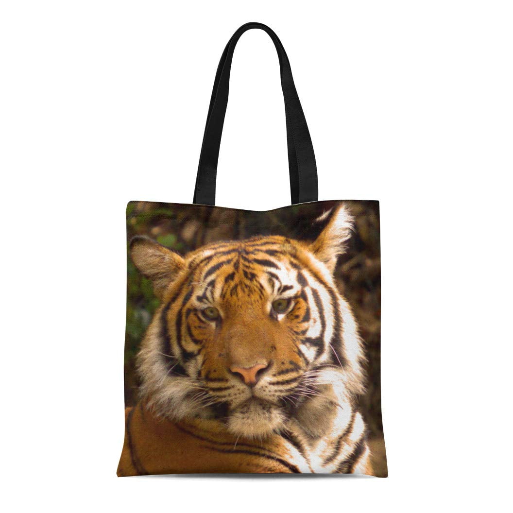 KDAGR Canvas Tote Bag Cat Tiger Bengal Large Eyes Wild Reusable Handbag ...