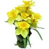 Easter Decor Potted Yellow Daffodil
