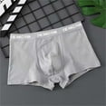 thumbnail image 2 of Icvfdpl Mens Underwear Boxer Briefs Summer Anniversary Dating Underpants For Men Gray L, 2 of 4