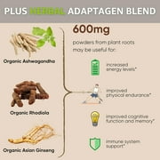 Healblend Mushroom Plus+ Powder 2000mg - 10 Organic Mushrooms for Brain, Immune & Stress Support - Adaptogenic Supplement - 60-Day Supply