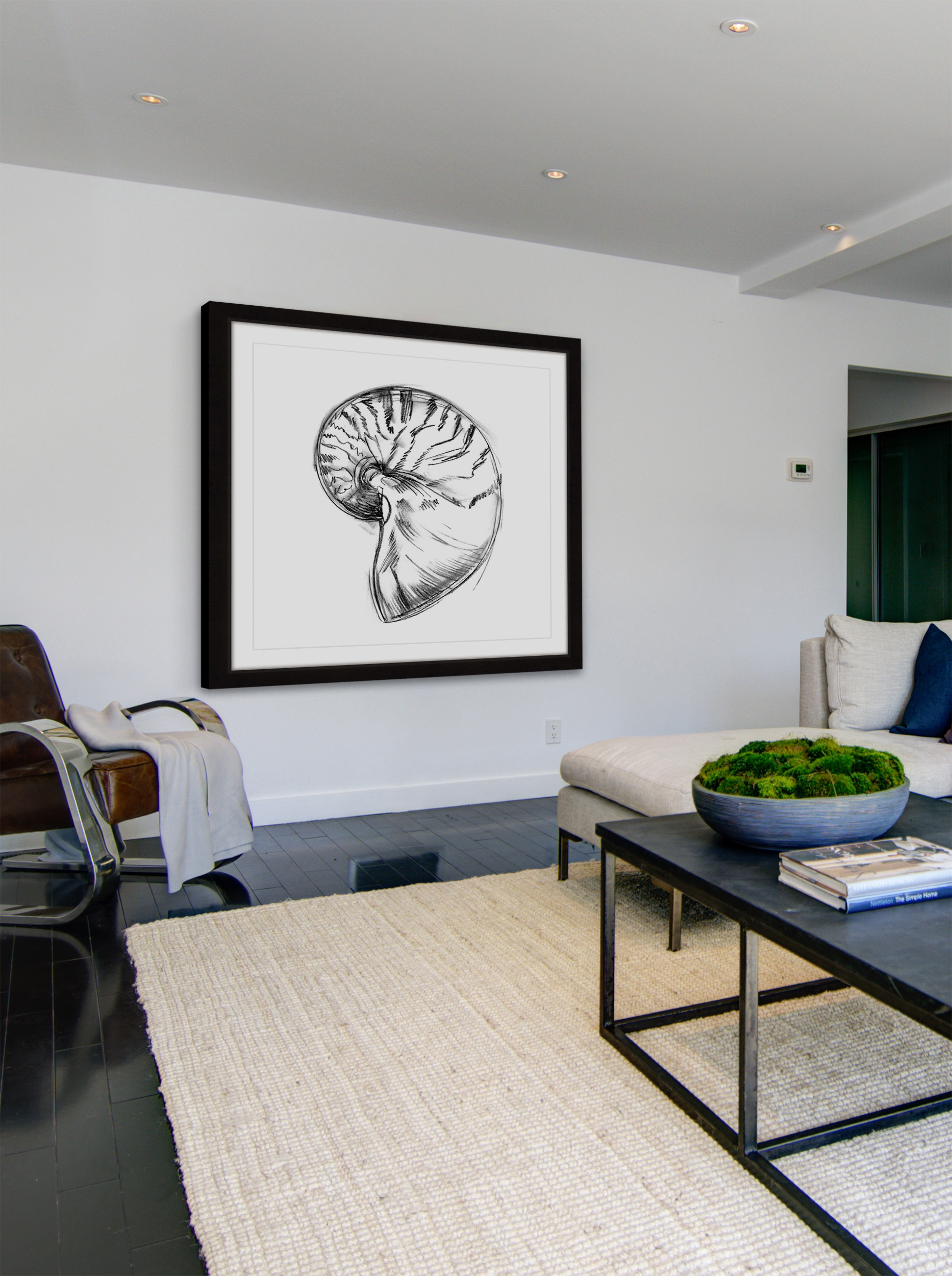 "Shell Sketch IV" Framed Painting Print