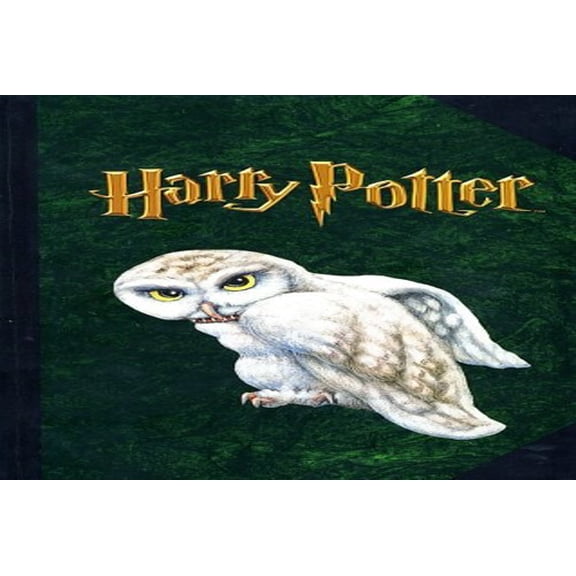 Pre-Owned Harry Potter: Hedwig the Owl (Hardcover) 0439236541 9780439236546