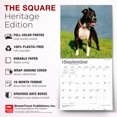 thumbnail image 6 of American Pit Bull Terriers | 2027 12x24" (Hanging) Wall Calendar | Plastic-Free, 6 of 9