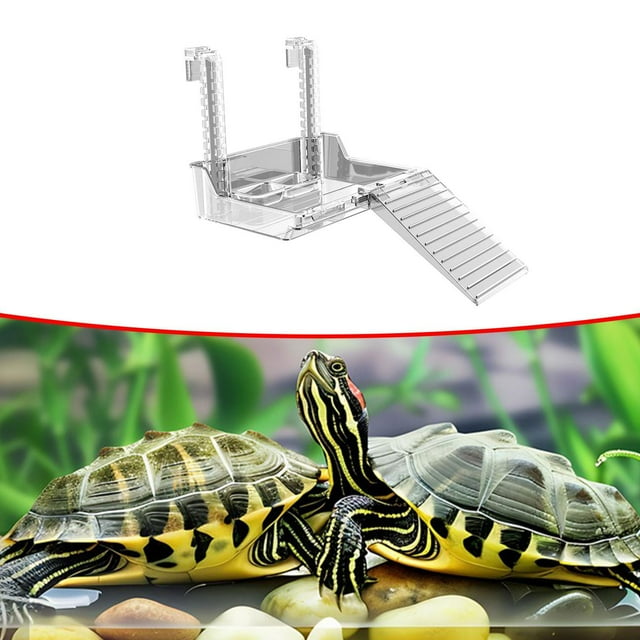 Rampa para Tanque de Tortugas Perfecl Estante Colgante para Escalar 212 x 165 x 50 mm
