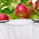 thumbnail image 3 of Garden Fruit Picker Stainless Steel Fruit Tree Pruner Fruits Catcher V-Slot Blade-Type Easy Fruit Pick Picking Tool, 3 of 4
