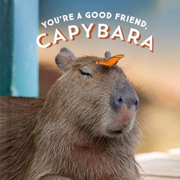 Chronicle Books – Eres un Buen Amigo, Capibara