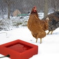 thumbnail image 4 of Farm Innovators 1.25 Gal 60W Electric Heated Pet Water Bowl, Red (2 Pack), 4 of 7