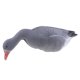 thumbnail image 3 of Señuelo de Cacería Animal Tamaño Natural Cuerpo Hueco Jardín Ornamento Comiendo Sunnimix Señuelo de caza de gansos, 3 of 8