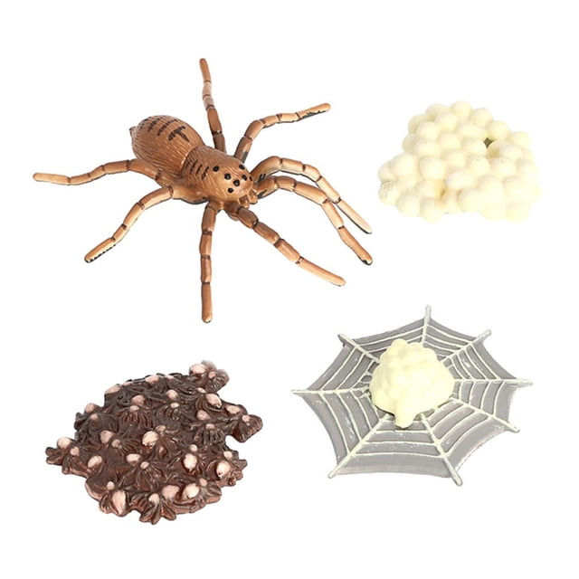 Yinanstore Simulation d'Animaux, Cycle de Vie d'Arthropode, Figurines d'Action Miniatures, Jouets Éducatifs Scientifiques