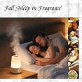 thumbnail image 3 of Amber Fragrance Oil for Candle, Perfume, Soap Making, Hotel Scents for Essential Oil Diffuser & Aromatherapy - 1 Fl Oz, 3 of 7